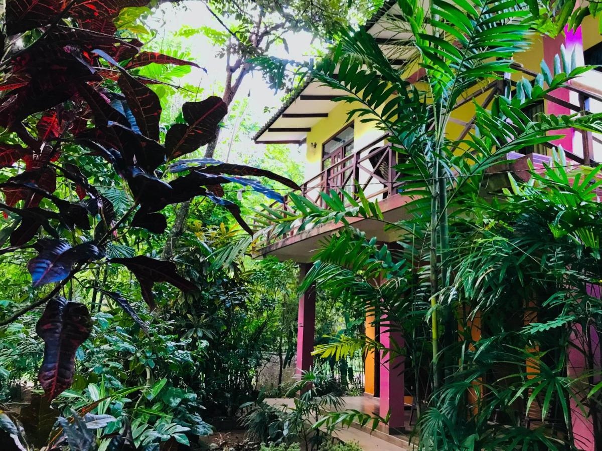 Gangadiya Lodge Сигирия Экстерьер фото