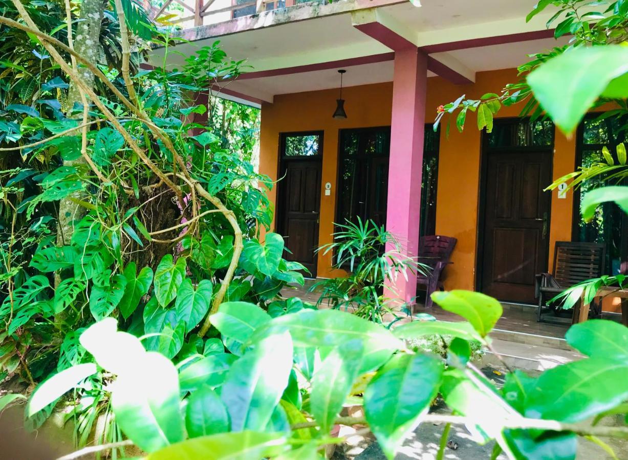 Gangadiya Lodge Сигирия Экстерьер фото